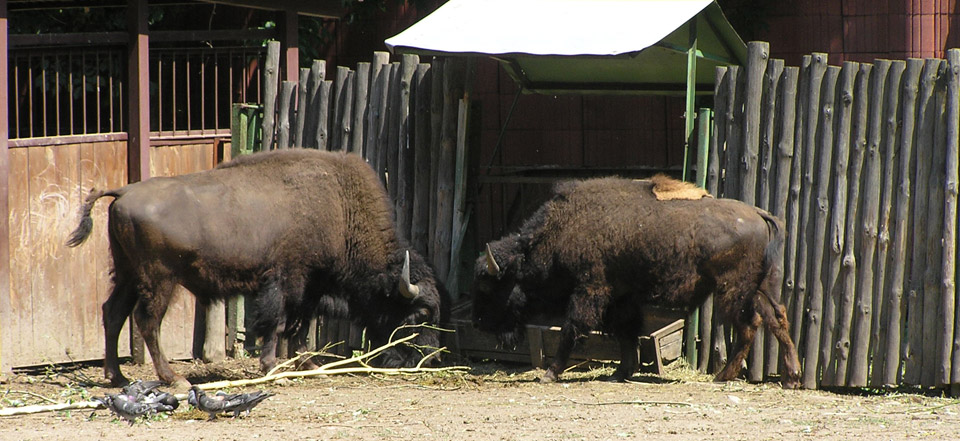 在线DDOS压力测试网页端